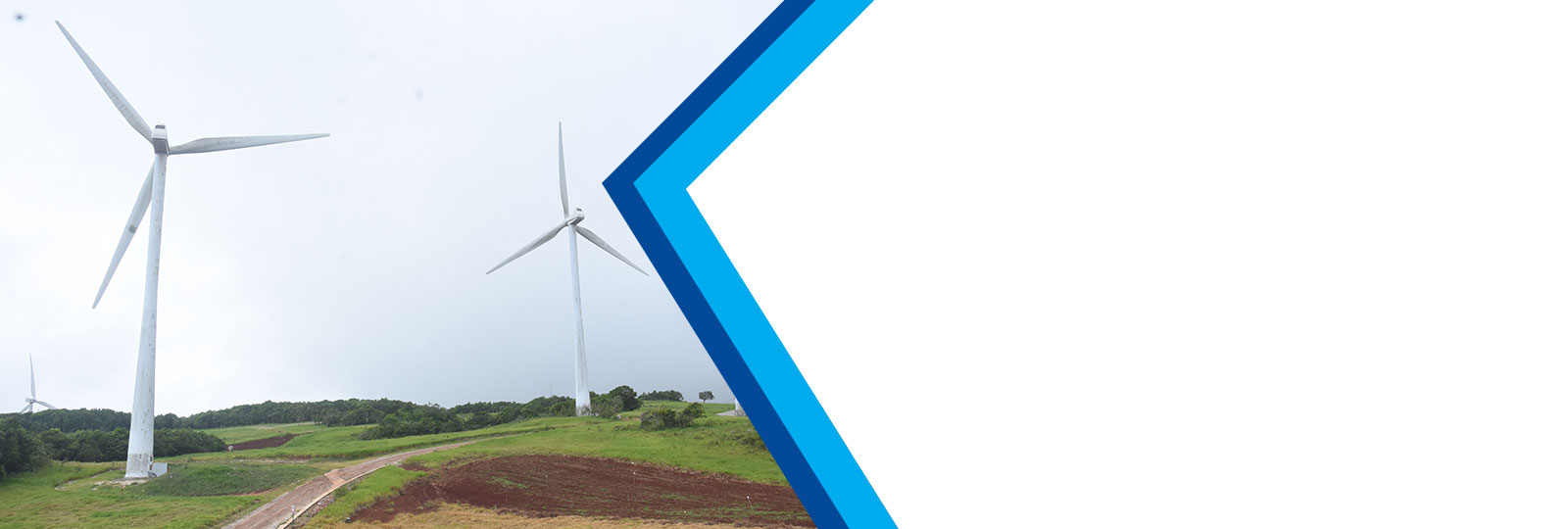 How to apply for wigton windfarm ipo